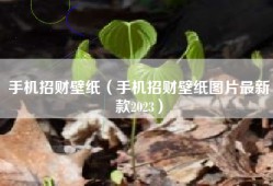 手机招财壁纸（手机招财壁纸图片最新款2023）