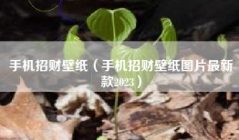手机招财壁纸（手机招财壁纸图片最新款2023）