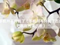 手机开不开机了（手机开不开机了怎么把数据拷贝出来）