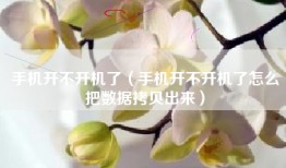 手机开不开机了（手机开不开机了怎么把数据拷贝出来）