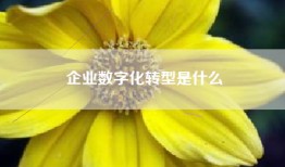 企业数字化转型是什么