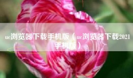 uc浏览器下载手机版（uc浏览器下载2021手机版）