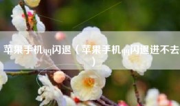 苹果手机qq闪退（苹果手机qq闪退进不去）