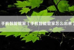 手机智能管家（手机智能管家怎么出来）