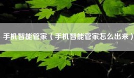 手机智能管家（手机智能管家怎么出来）