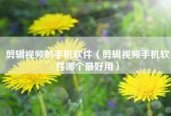 剪辑视频的手机软件（剪辑视频手机软件哪个最好用）