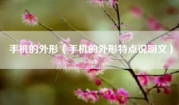手机的外形（手机的外形特点说明文）