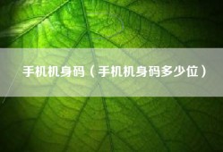 手机机身码（手机机身码多少位）