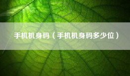 手机机身码（手机机身码多少位）