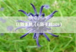 LG新手机（lg新手机2024）