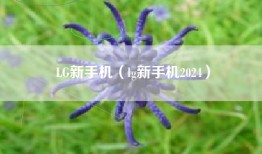 LG新手机（lg新手机2024）