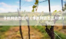 手机网店怎么开（手机网店怎么开啊）