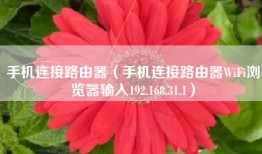 手机连接路由器（手机连接路由器WiFi浏览器输入192.168.31.1）