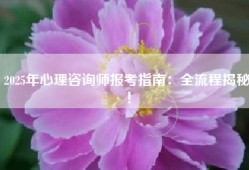 2025年心理咨询师报考指南：全流程揭秘！