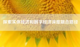 探索实体经济和数字经济深度融合路径