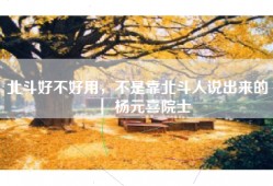 北斗好不好用，不是靠北斗人说出来的 ｜ 杨元喜院士