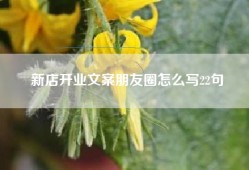 新店开业文案朋友圈怎么写22句