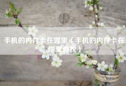 手机的内存卡在哪里（手机的内存卡在哪里查找）
