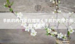 手机的内存卡在哪里(手机的内存卡在哪里查找)