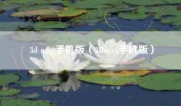 3d max手机版（3Dmax手机版）
