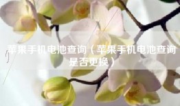 苹果手机电池查询（苹果手机电池查询是否更换）