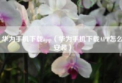 华为手机下载app（华为手机下载APP怎么安装）