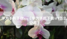 华为手机下载app（华为手机下载APP怎么安装）