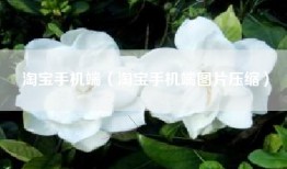 淘宝手机端（淘宝手机端图片压缩）