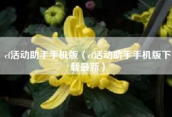cf活动助手手机版（cf活动助手手机版下载最新）
