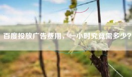 百度投放广告费用，一小时究竟需多少？
