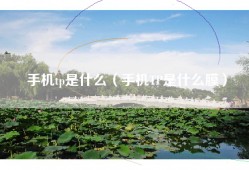 手机tp是什么（手机TP是什么膜）