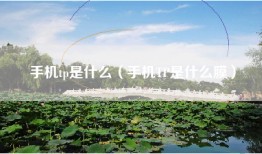 手机tp是什么（手机TP是什么膜）
