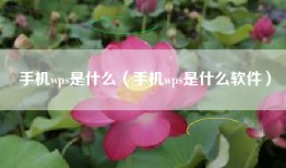 手机wps是什么（手机wps是什么软件）