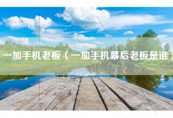 一加手机老板（一加手机幕后老板是谁）