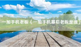 一加手机老板（一加手机幕后老板是谁）