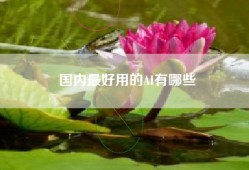 国内最好用的AI有哪些