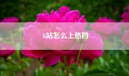 b站怎么上热门