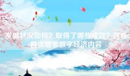 发展状况如何？取得了哪些成效？普查首次增加数字经济内容