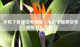 手机下载微信电脑版（手机下载微信电脑版怎么下载）