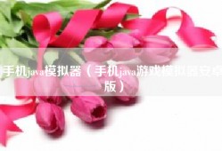 手机java模拟器（手机java游戏模拟器安卓版）