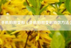 手机拍照变形（手机拍照变形特效方法）
