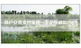 商户安装支付宝碰一下花呗被扣1980元