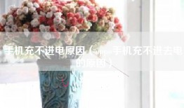 手机充不进电原因（oppo手机充不进去电的原因）