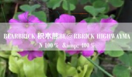 BEARBRICK 积木熊BE@RBRICK HIGHWAYMAN 100％ & 400％