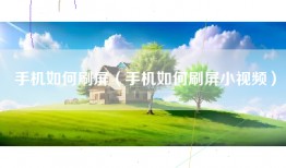 手机如何刷屏（手机如何刷屏小视频）
