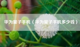华为量子手机（华为量子手机多少钱）