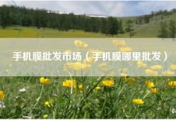 手机膜批发市场（手机膜哪里批发）