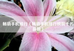 畅销手机排行（畅销手机排行榜前十名最新）