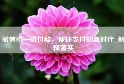 微信碰一碰付款，便捷支付的新时代_解释落实