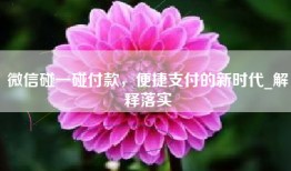 微信碰一碰付款，便捷支付的新时代_解释落实